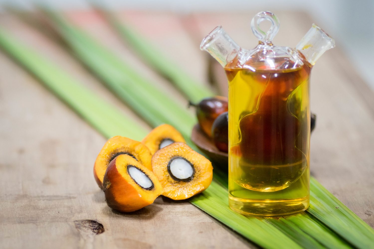 Olej palmowy VS rzepakowy. Co warto o nich wiedzieć?