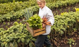 Farm to table w Polsce jako nowa tożsamość gastronomii – szanse, wyzwania i perspektywy 