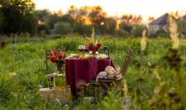 Plenerowe kolacje i restauracja pop-up – jak wykorzystać potencjał lata w gastronomii?