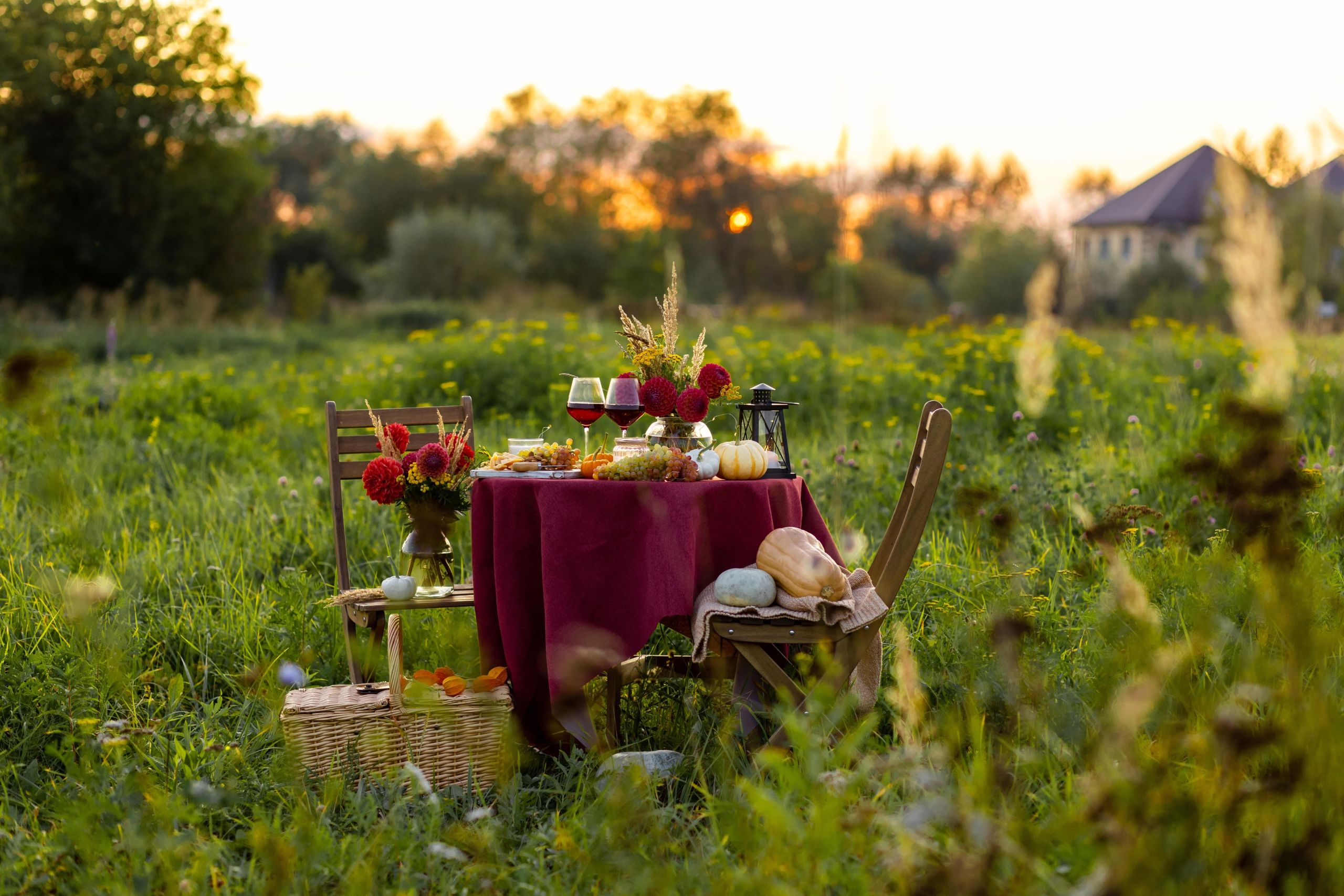 Plenerowe kolacje i restauracja pop-up – jak wykorzystać potencjał lata w gastronomii?